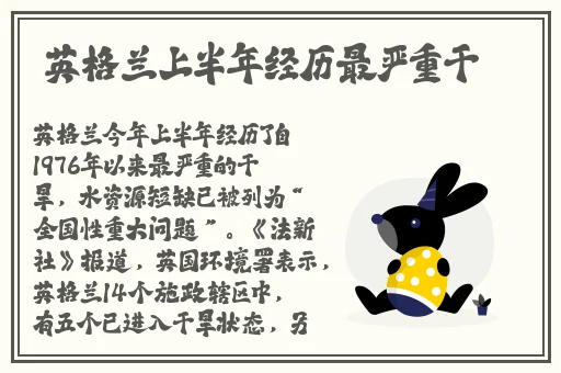 沈阳老阿姨最后的巅峰